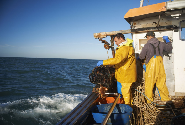 Fishermen at sea